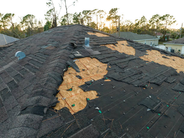 Professional Roofing Services in Fruitvale, CO