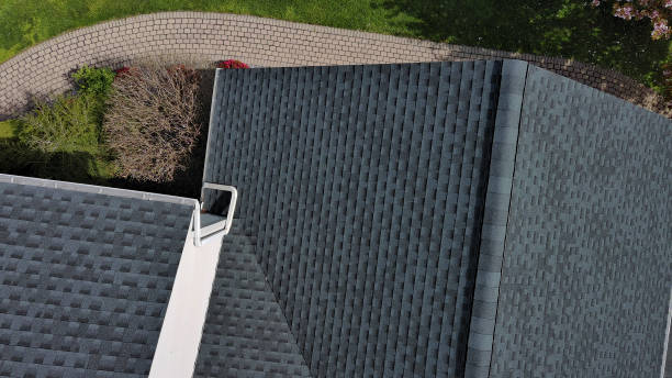 Best Metal Roofing Installation  in Fruitvale, CO